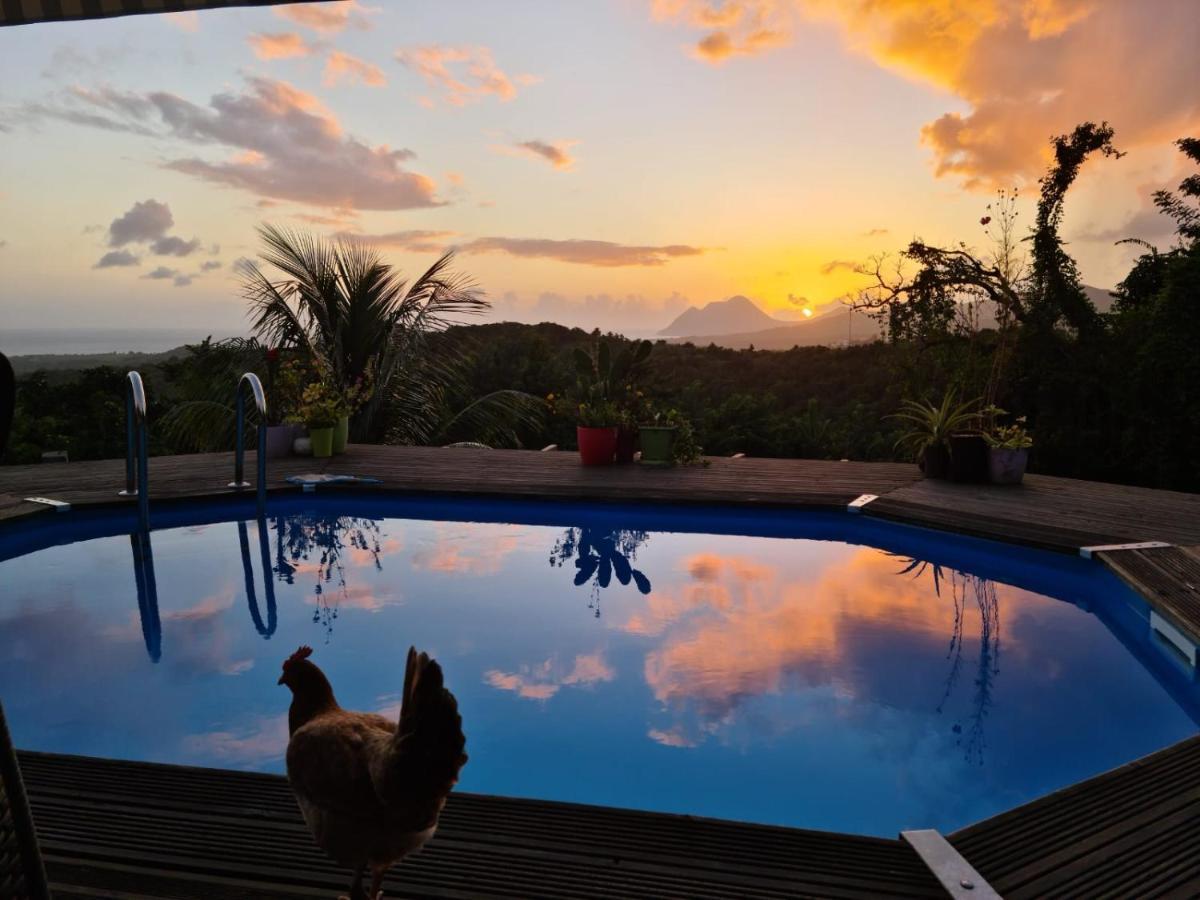 Chambre Chez L'Habitant Avec Piscine Privative Et Vue Panoramique Sur La Mer Des Caraibes Desmarinieres Exterior foto